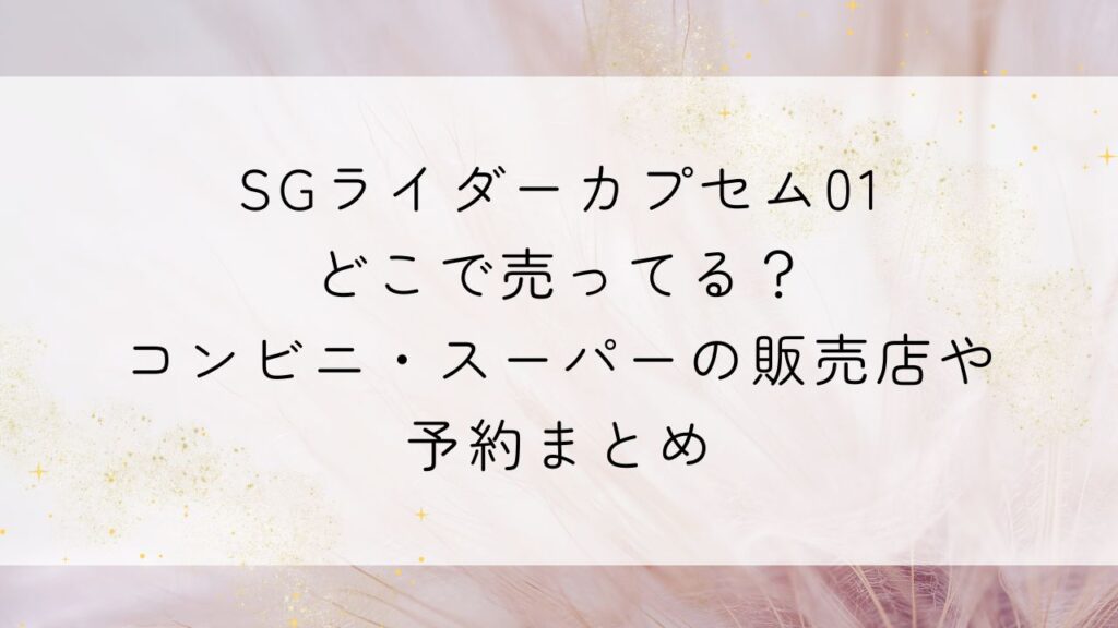 SGライダーカプセム01どこで売ってる？コンビニ・スーパーの販売店や予約まとめ