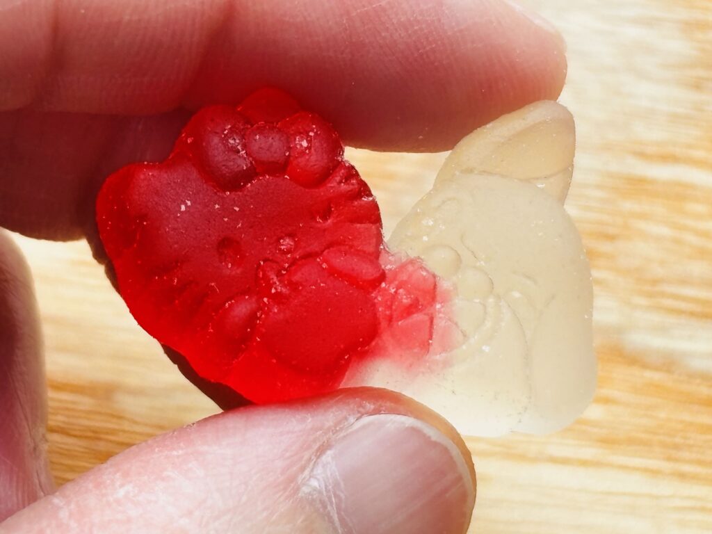 サンリオキャラクターズ JOYFUL FRUIT GUMMY