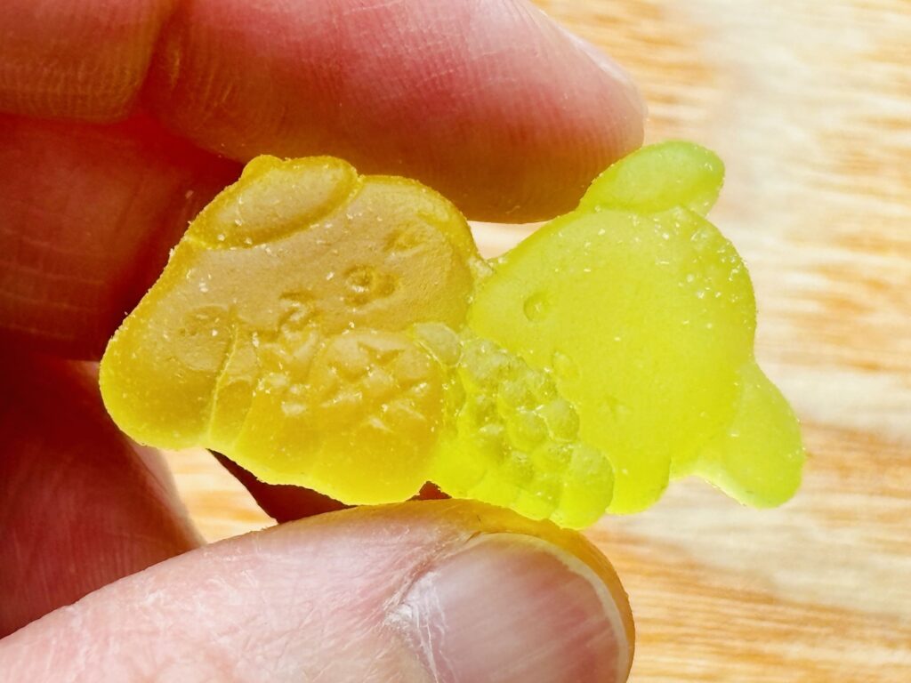 サンリオキャラクターズ JOYFUL FRUIT GUMMY